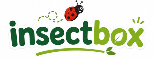InsectBox